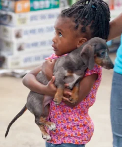 A girl holds a puppy in her arm