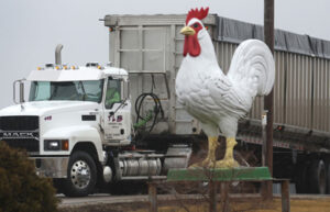 A truck drives out the entrance of the Cold Springs Eggs Farm where the presence of avian influenza was reported to be discovered, forcing the commercial egg producer to destroy nearly 3 million chickens on March 24, 2022 near Palmyra, Wisconsin. (Photo by Scott Olson/Getty Images)