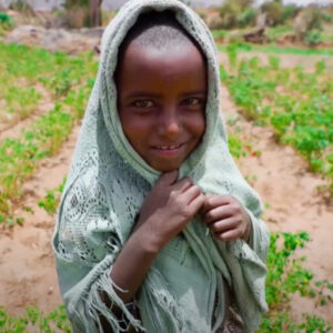 A young child on a farm