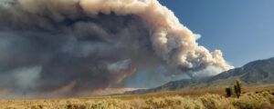 Wildfire, Image credit Bellwether